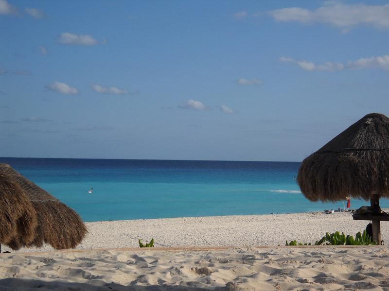 海豚海滩-坎昆必去景点