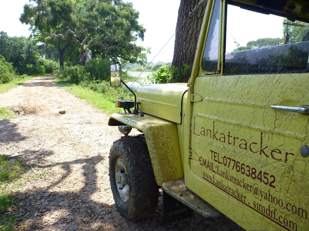Lanka Tracker - Day Tours景点图片