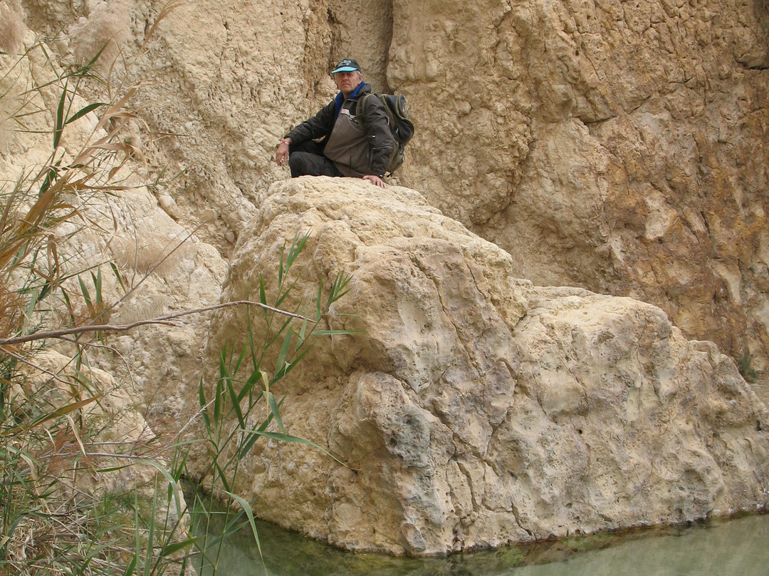 Tamerza Canyon-吐泽尔必去景点