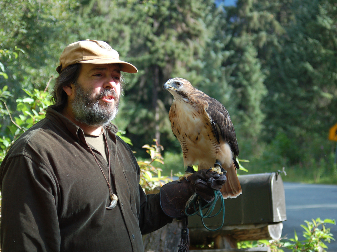 Kroschel Films Wildlife Center-海恩斯必去景点