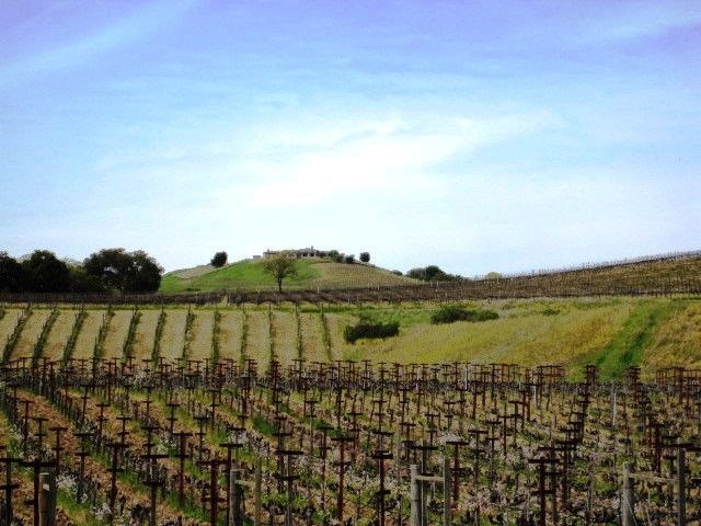 Hendry Ranch Wines景点图片