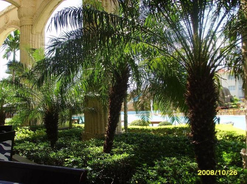 亚龙湾环球城大酒店主图