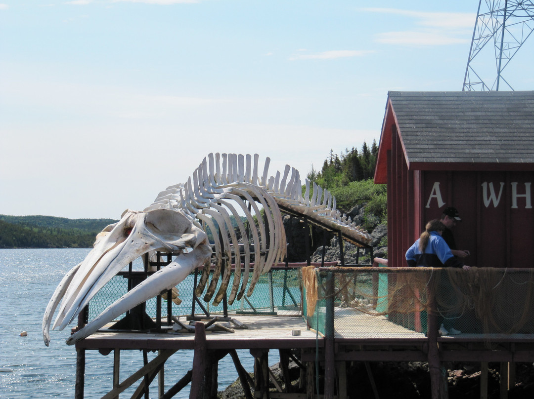 Prime Berth Fishing Museum-Twillingate必去景点
