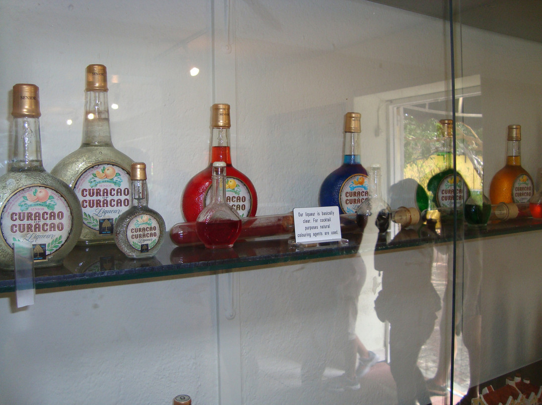 Curacao Liqueur Distillery-威廉斯塔德必去景点