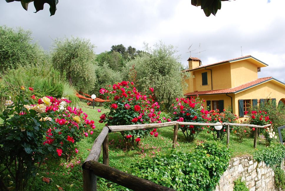 Villa Oliveto Bed & Breakfast主图