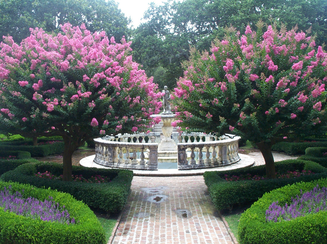Elizabethan Gardens景点图片