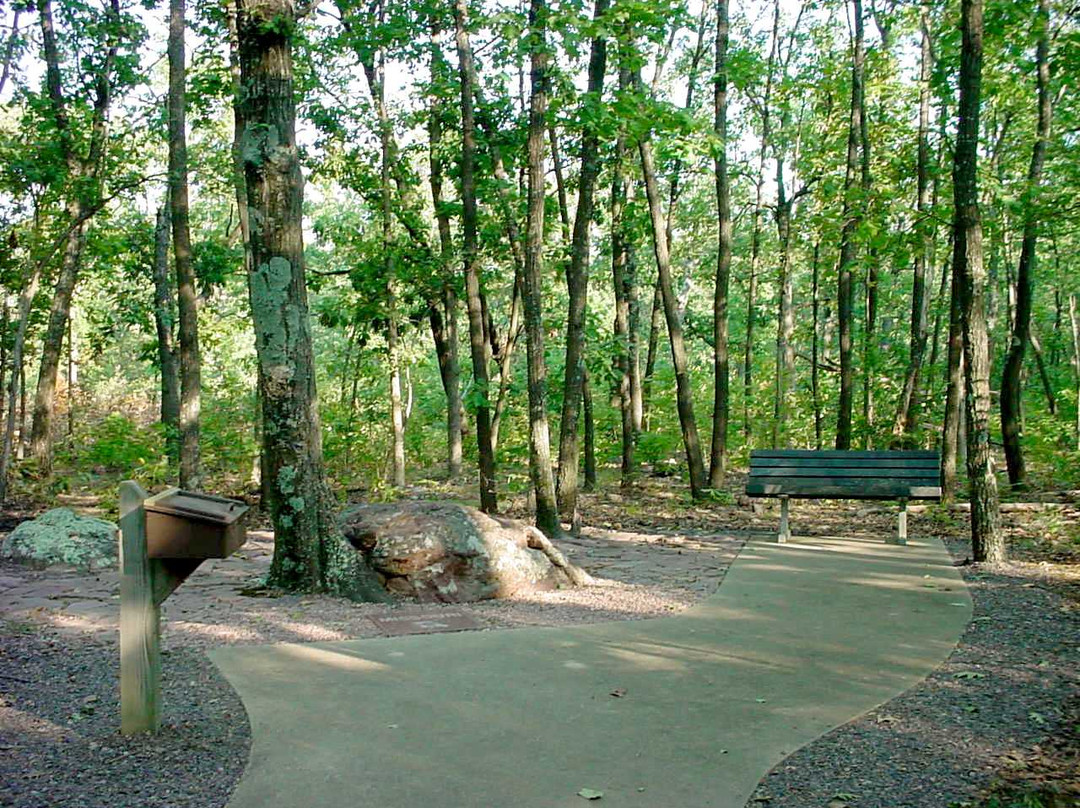 Taum Sauk Mountain State Park景点图片