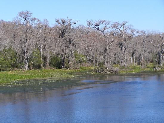 Edward Ball Wakulla Springs State Park-Wakulla Springs必去景点