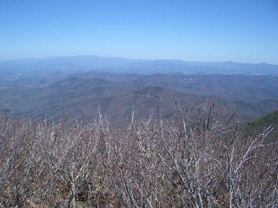 Pisgah National Forest景点图片