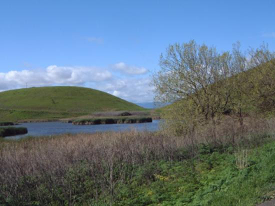 Museum at Coyote Hills-费利蒙必去景点