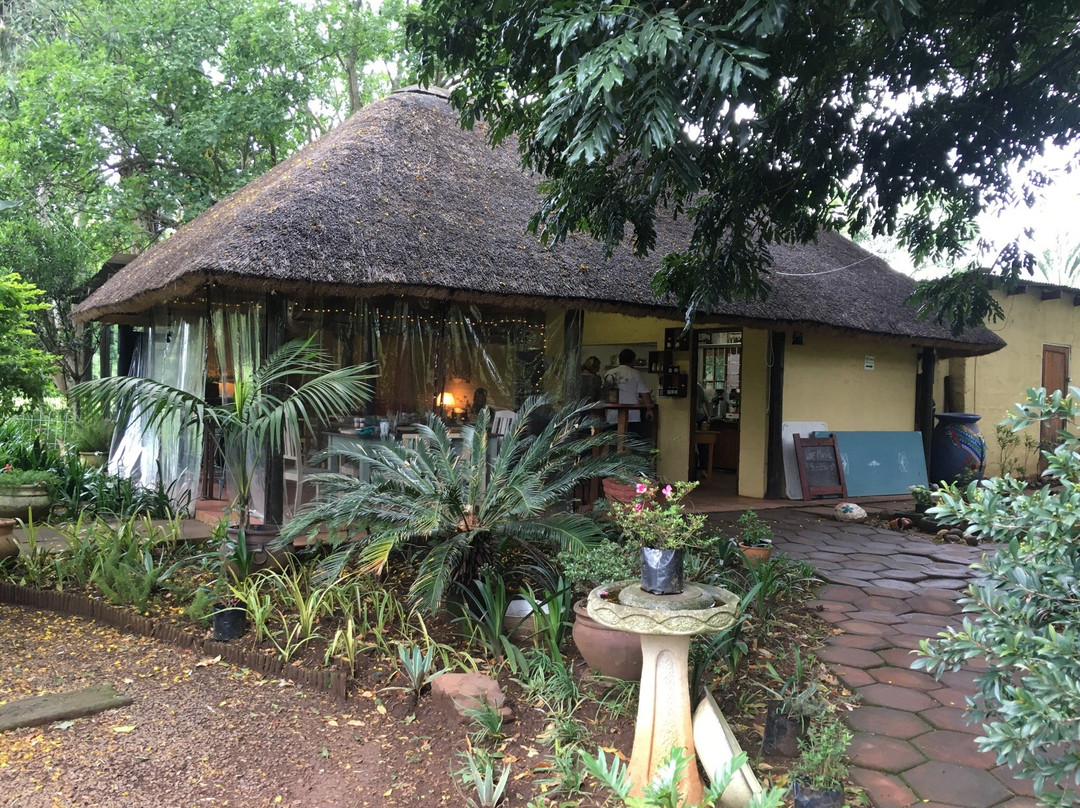 Camperdown旅游攻略图片
