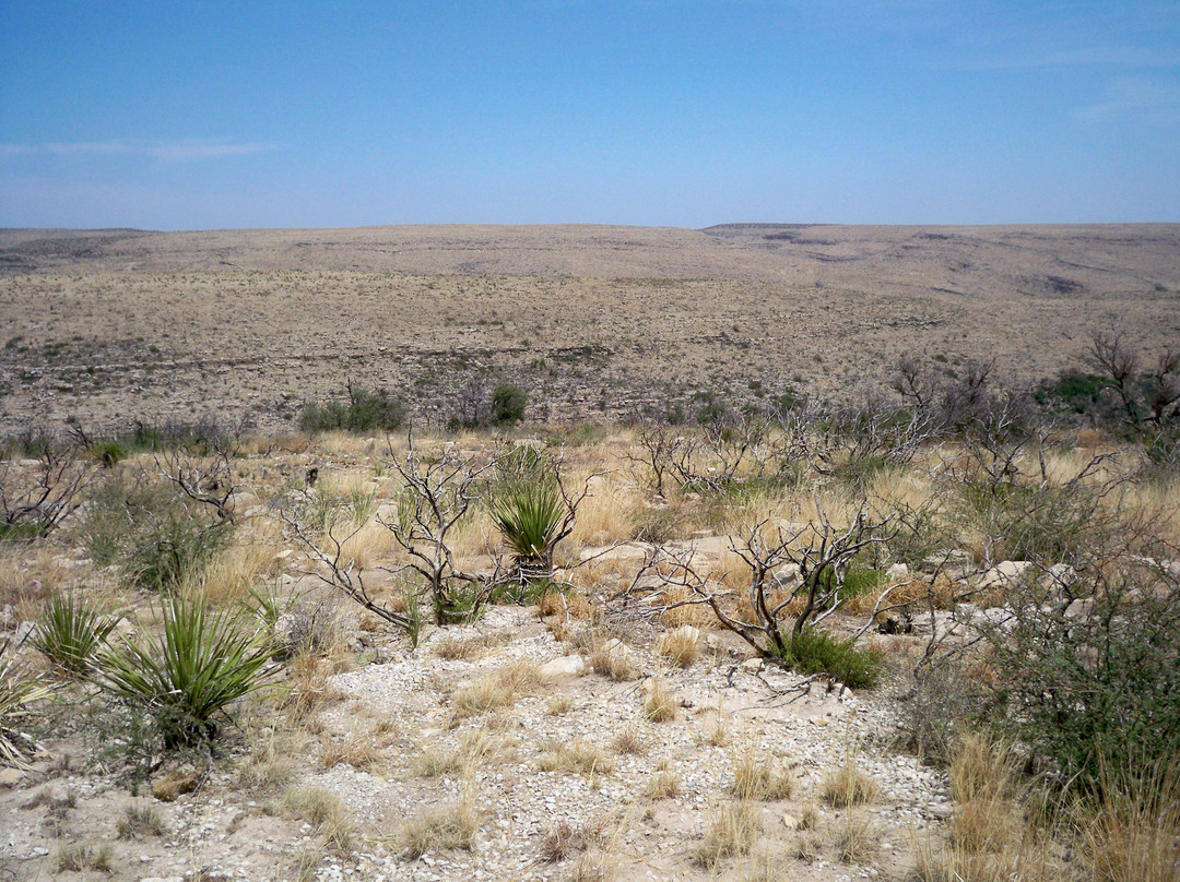 Walnut Canyon Desert Drive-卡尔斯巴德洞穴国家公园必去景点