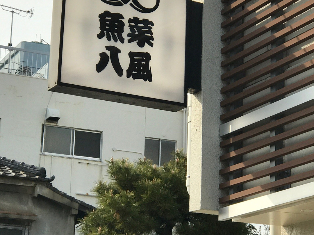 魚菜 八風