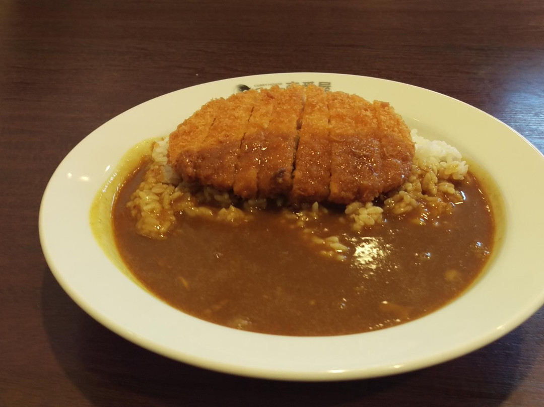 CoCo壱番屋 音更木野大通店