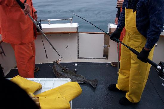 瓦尔迪兹酒店住宿-Del’s Bunk and Chow