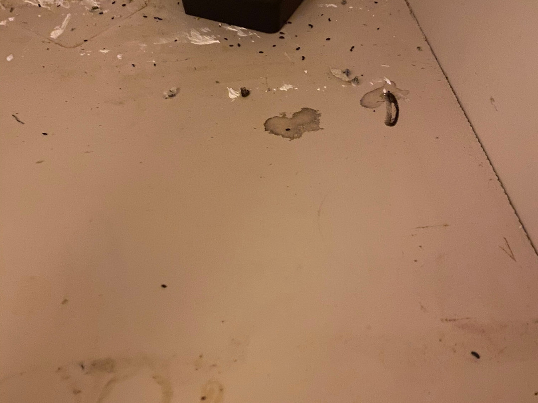 Blind River Apartments