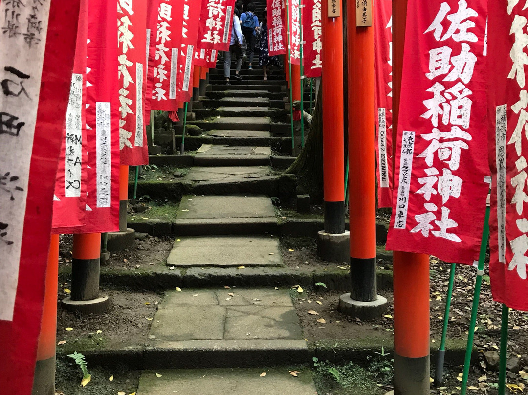 Sasuke Inari Shrine景点图片