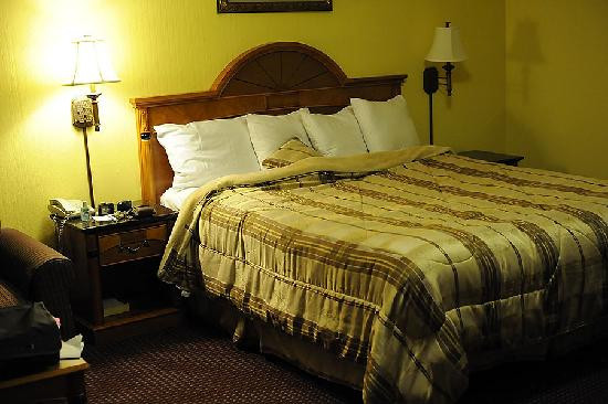 索萨利托酒店住宿-Muir Woods Lodge