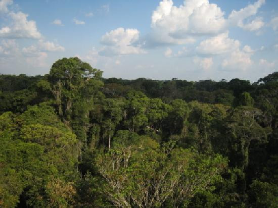 Floresta Nacional dos Tapajos-Ruropolis必去景点