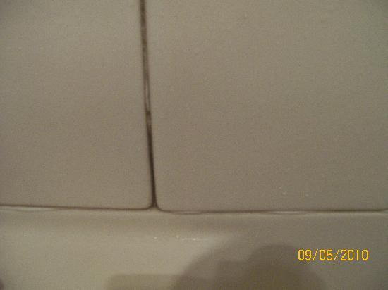 Cow Shed Motel & Restaurant