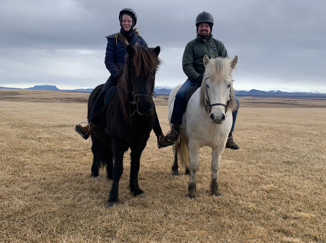 Icelandic HorseWorld-海拉必去景点