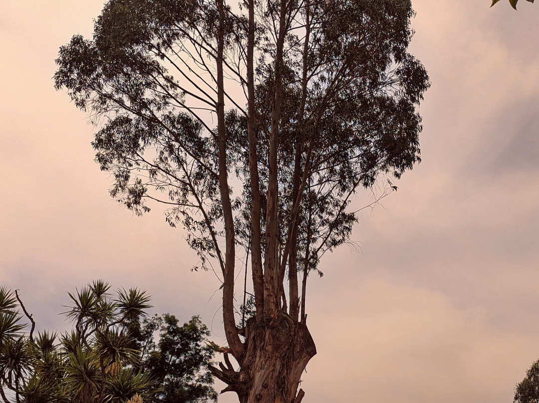 Savoy, Ooty - IHCL SeleQtions主图