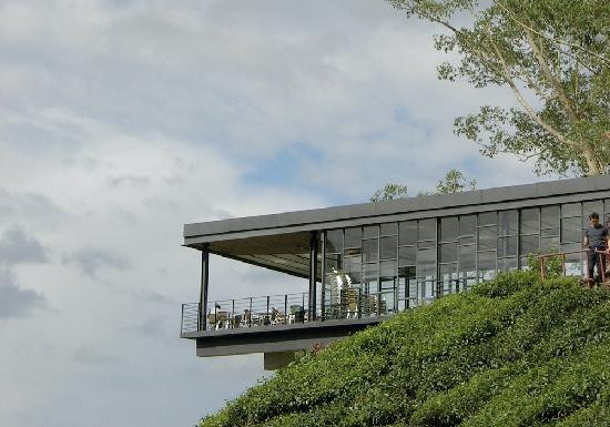 Boh's Tea Centre-金马仑高原必去景点