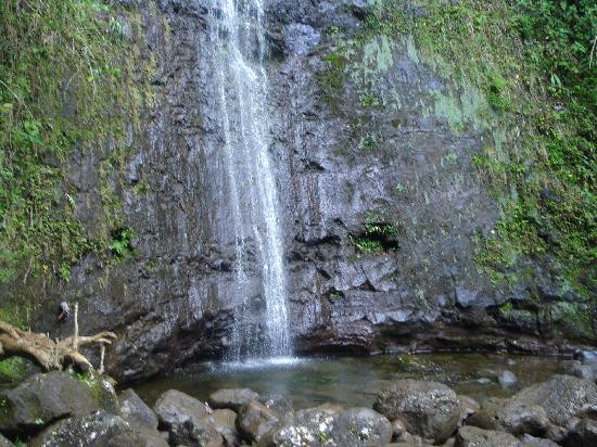 玛诺亚瀑布-火奴鲁鲁必去景点