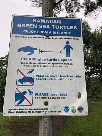 Carlsmith Beach Park-希洛必去景点