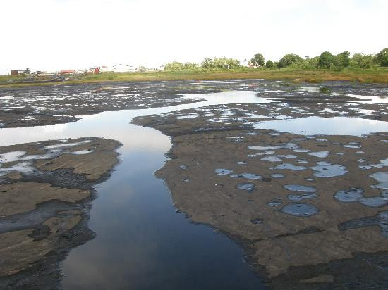 La Brea Pitch Lake-特立尼达必去景点
