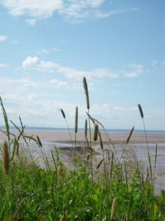Bay Of Fundy-New Brunswick必去景点