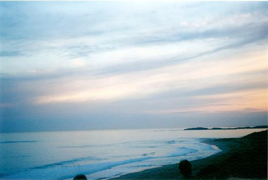 Logan's Beach-瓦南布尔必去景点