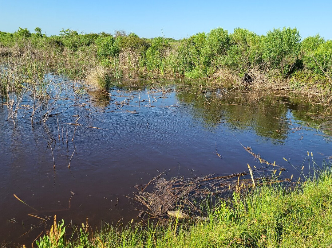 Brazoria National Wildlife Refuge-Freeport必去景点