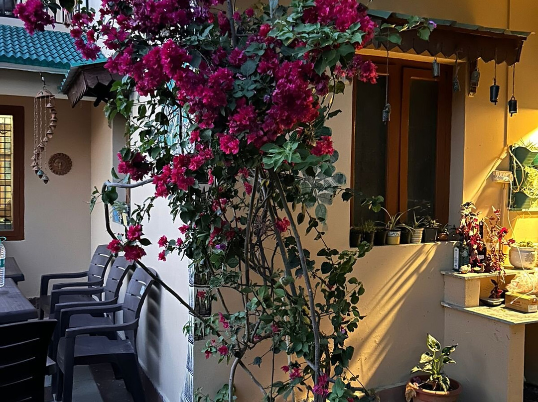 Firdaus Naukuchiatal主图