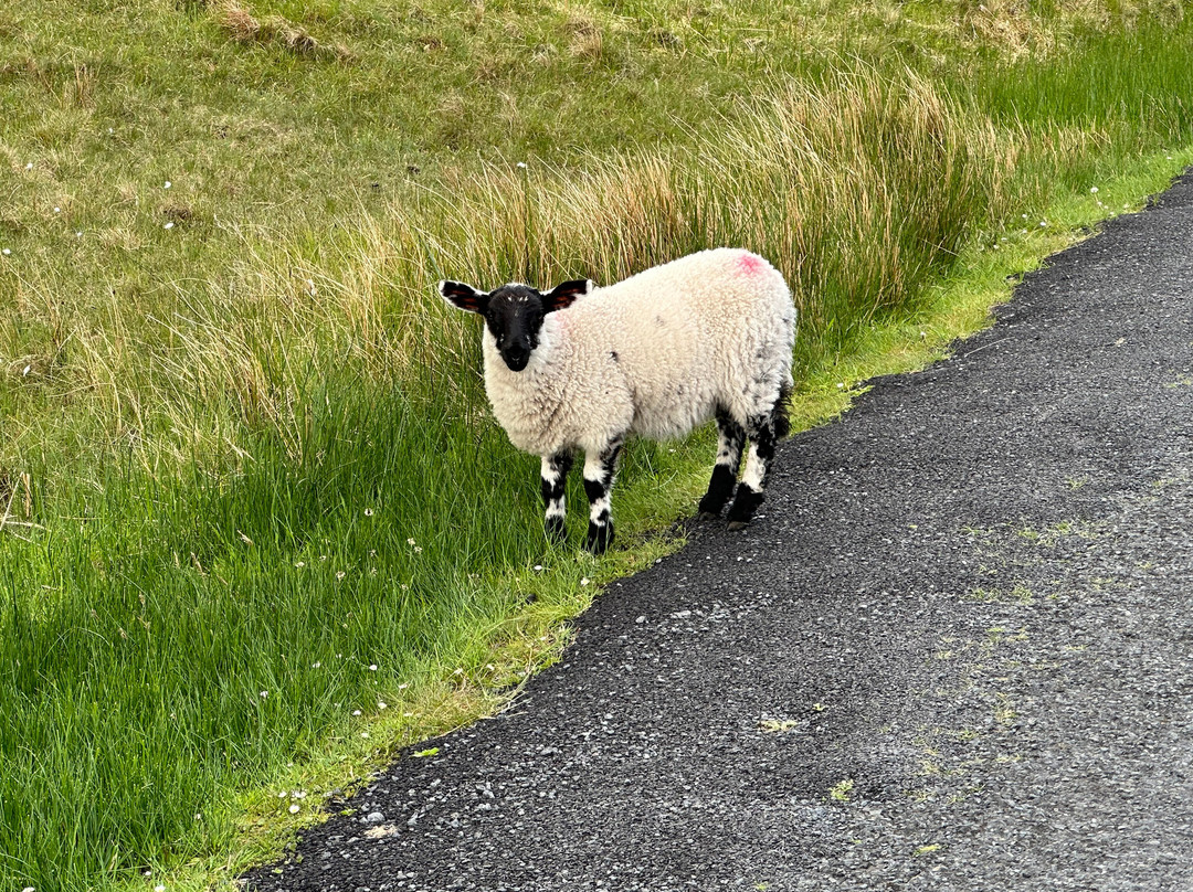 Sliabh Liag Cliff Experience & Visitor Centre景点图片