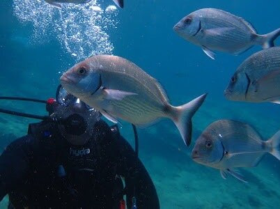 Happy Bubbles Diving Center景点图片