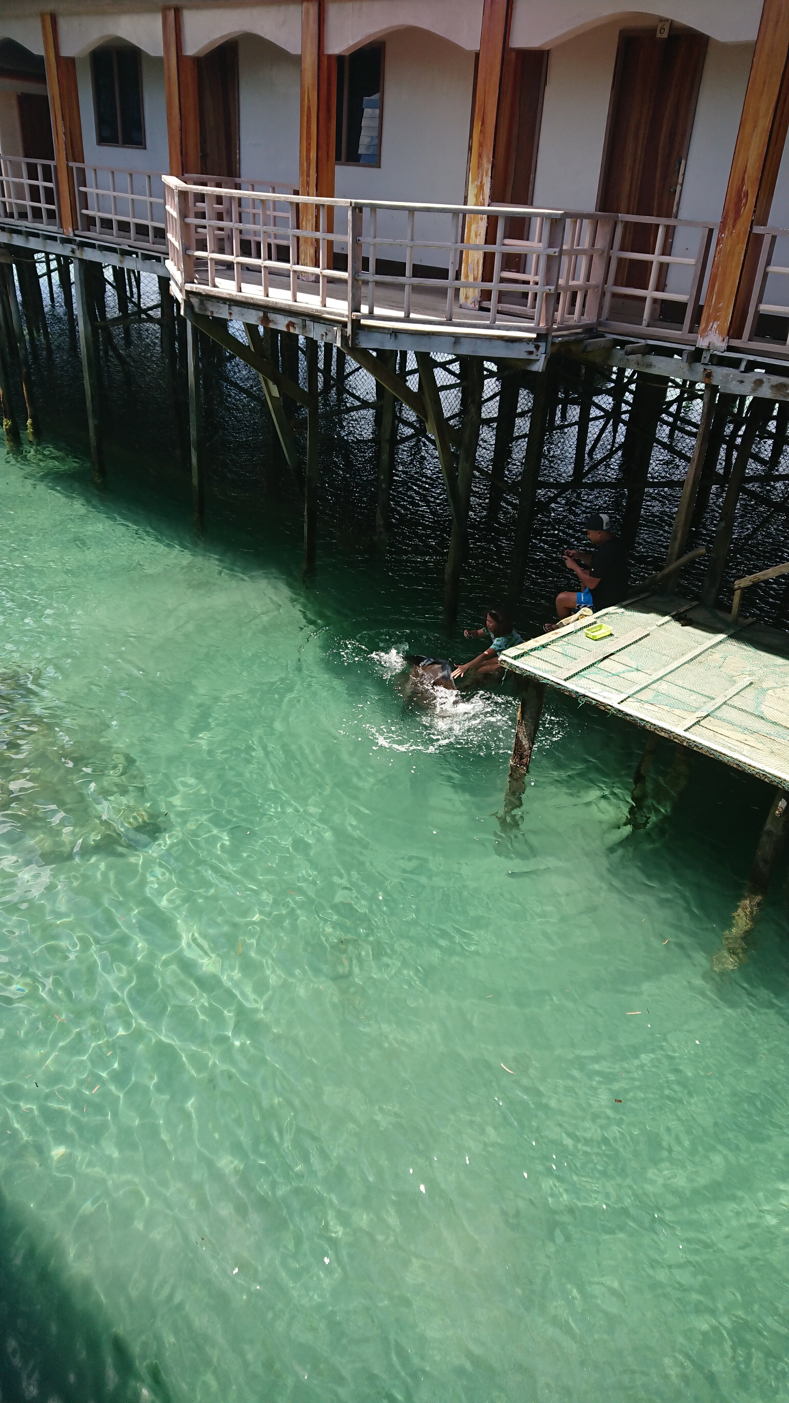 Sibadan Fish Cage-官方