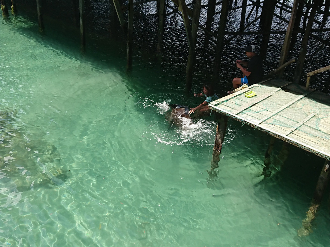 Sibadan Fish Cage主图