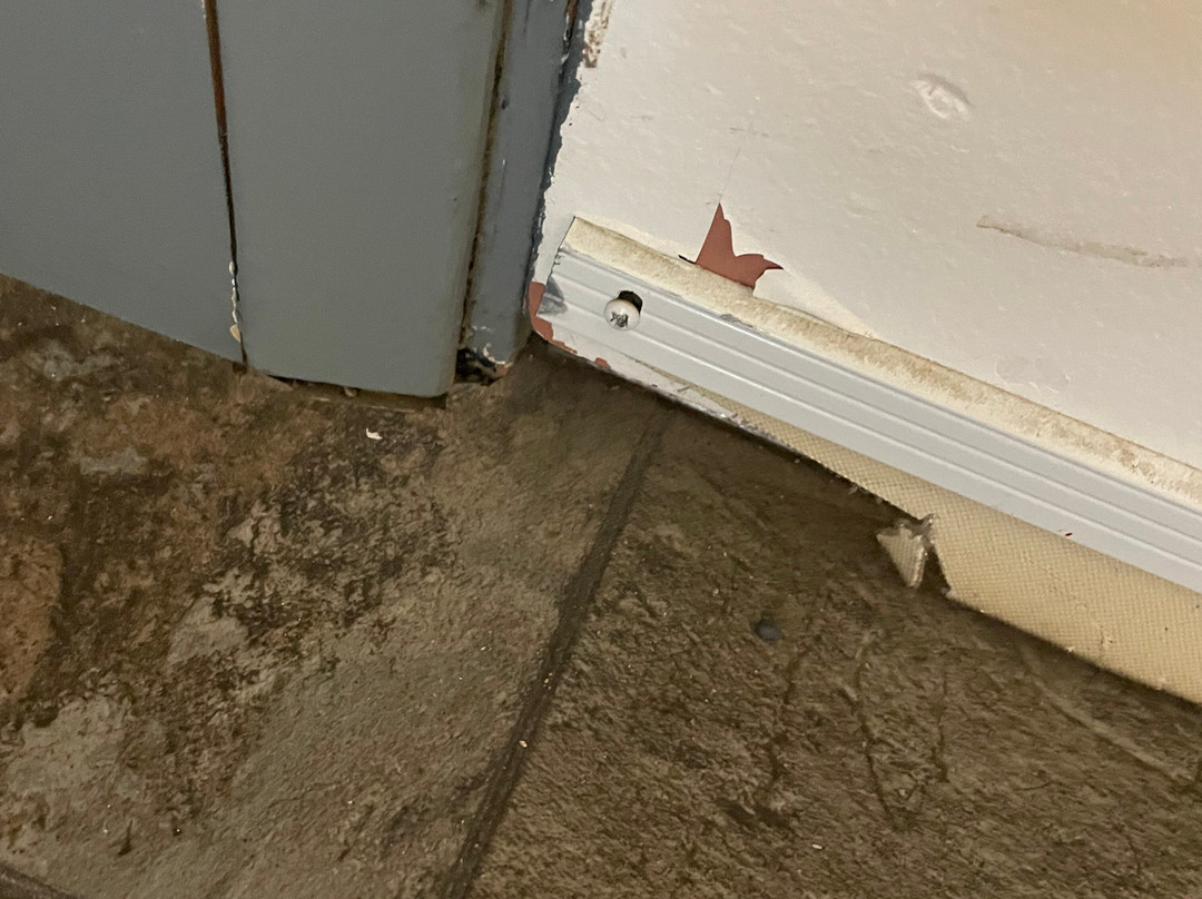 乡村绿色酒店主图