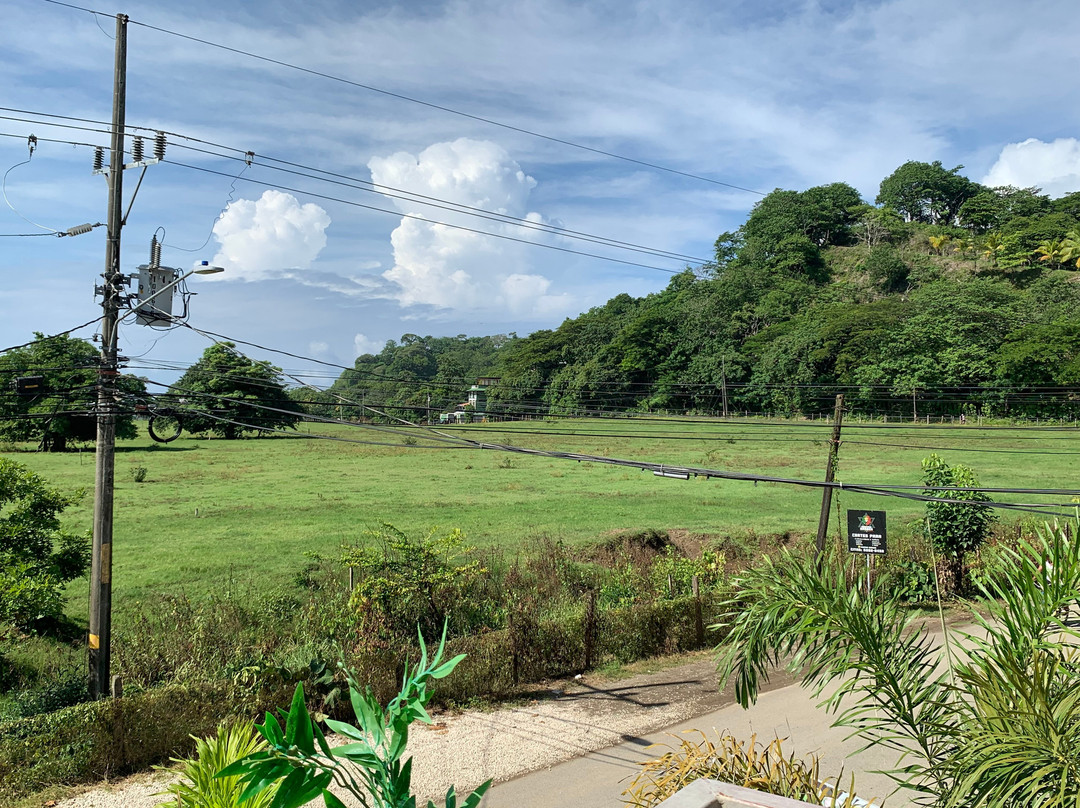 Bellavista Suites By Villas Verdes主图