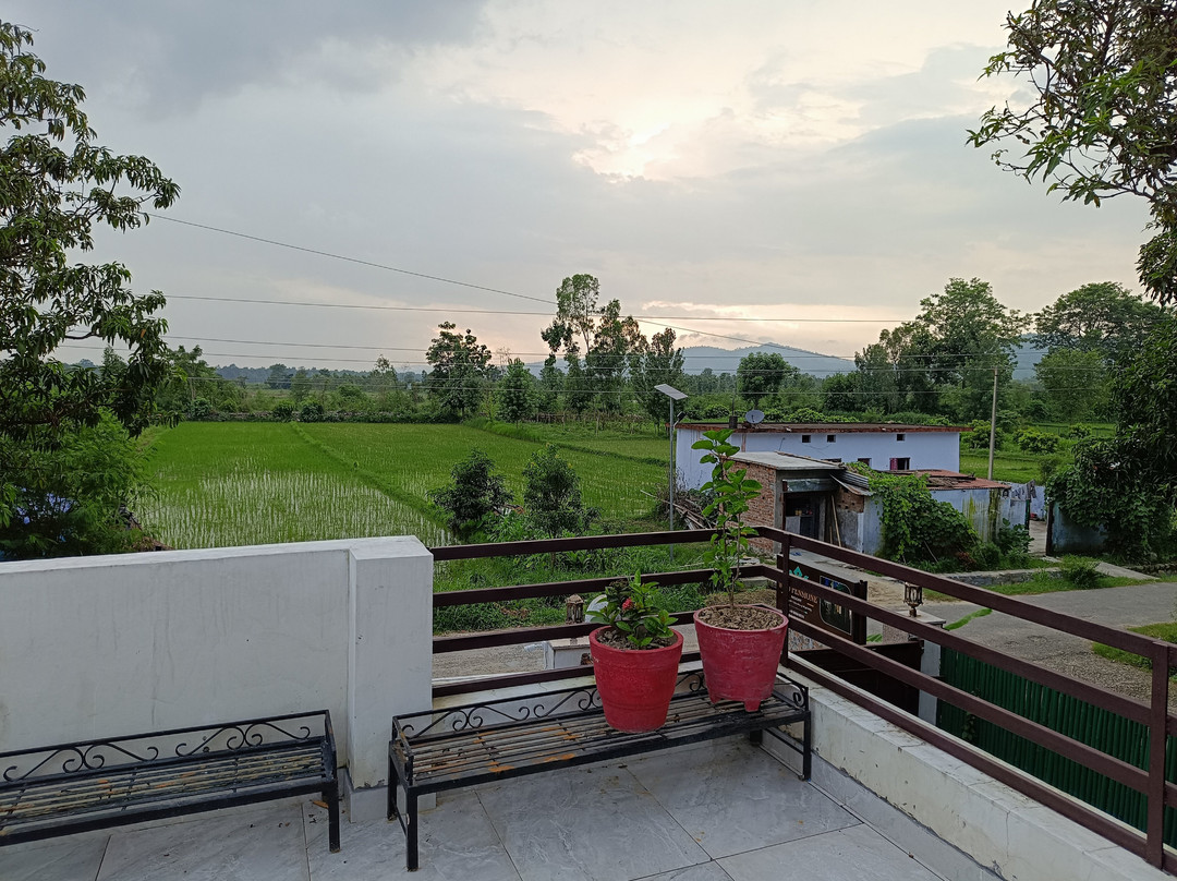 Wild Pensione Homestay主图