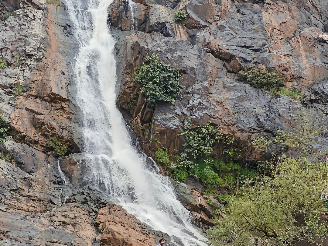 Hirni Water Falls景点图片