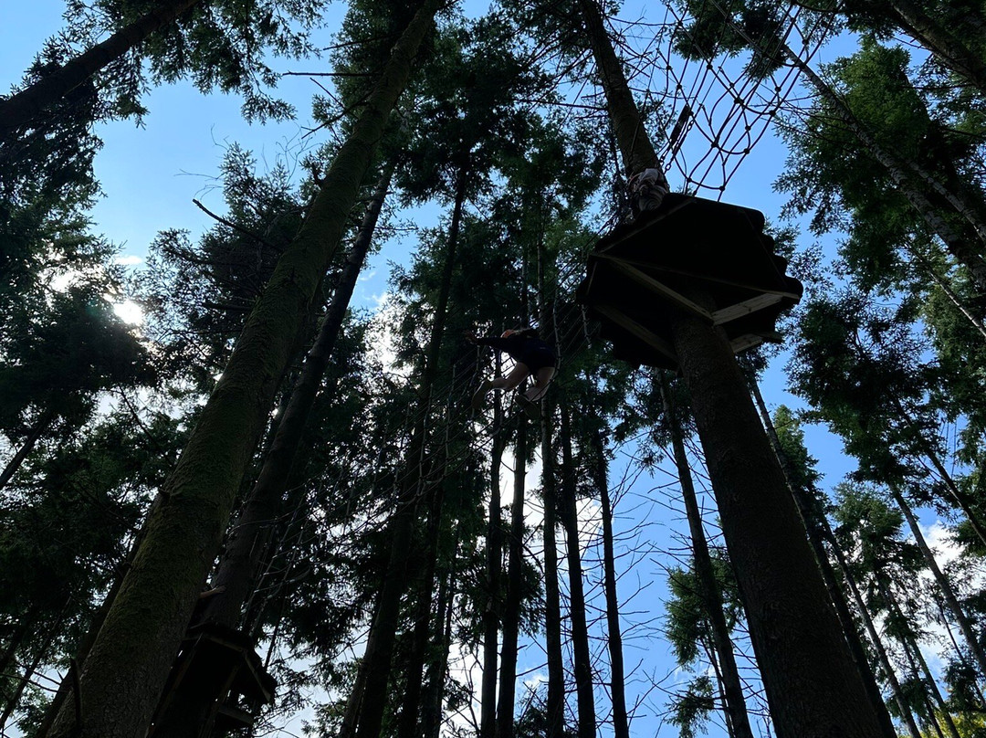 The Tunnel Tree Tops High Ropes景点图片