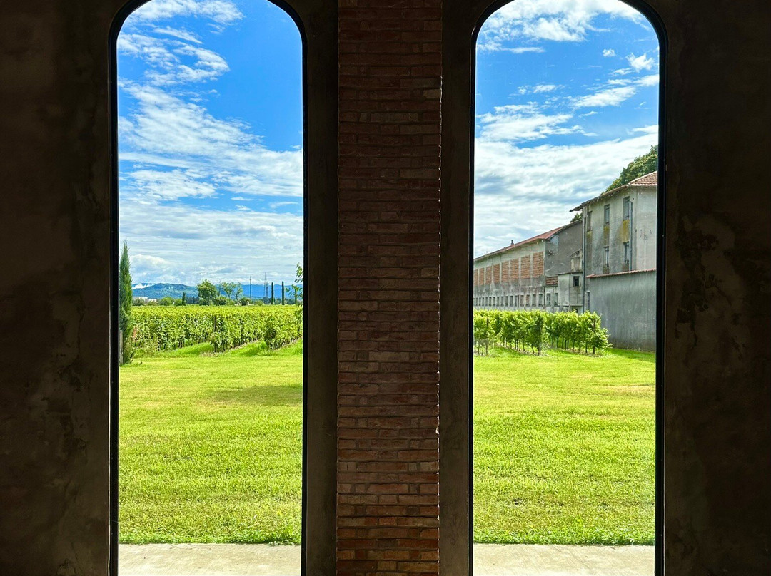 Villa Chiopris主图
