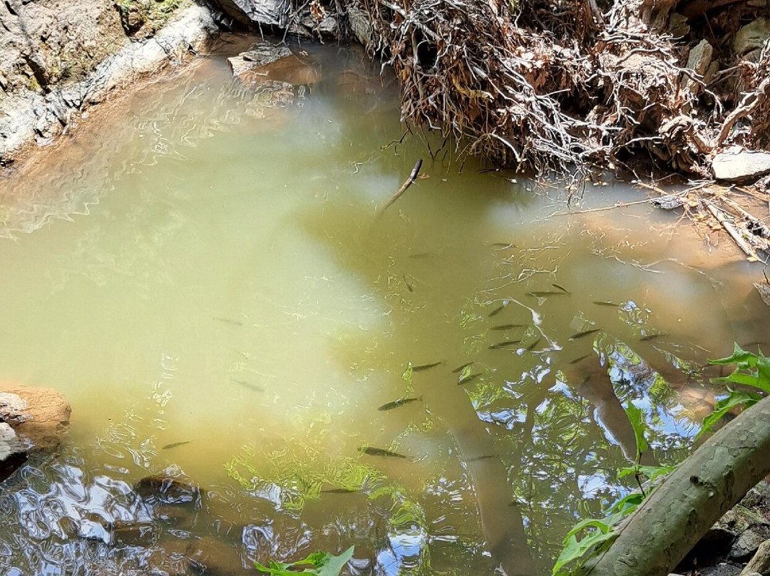 Maries Lakes-Maries必去景点
