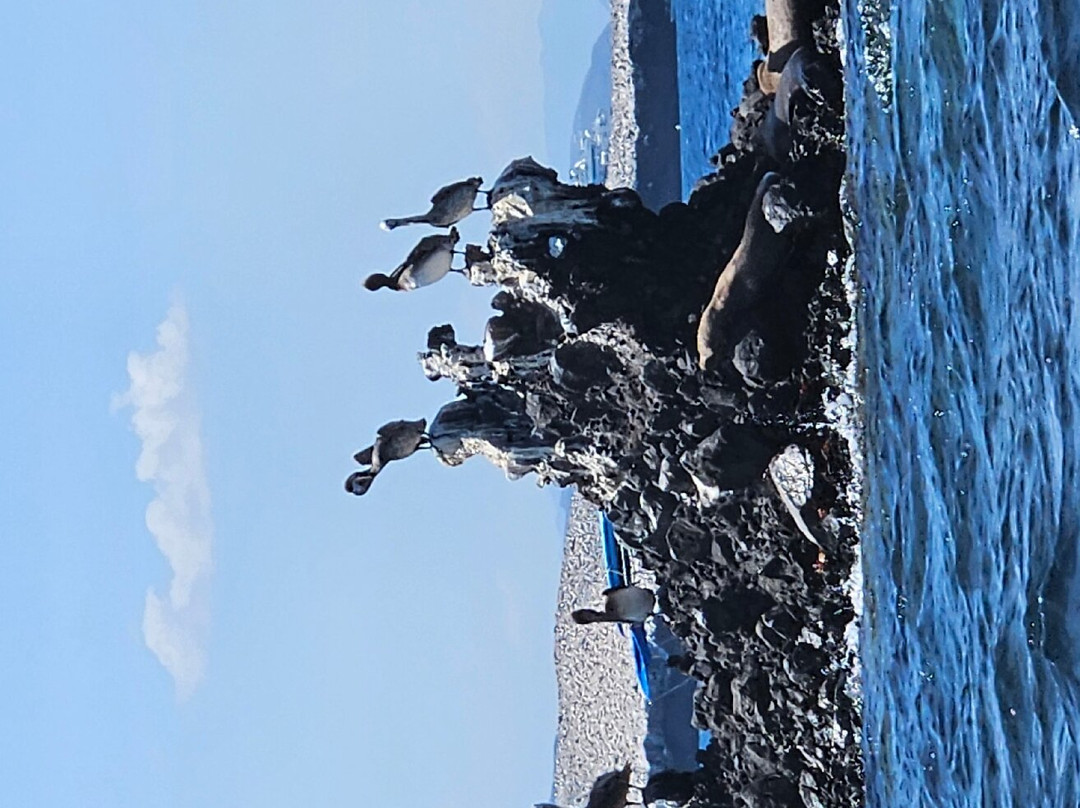 Espiritu & Baja Tours-拉巴斯必去景点