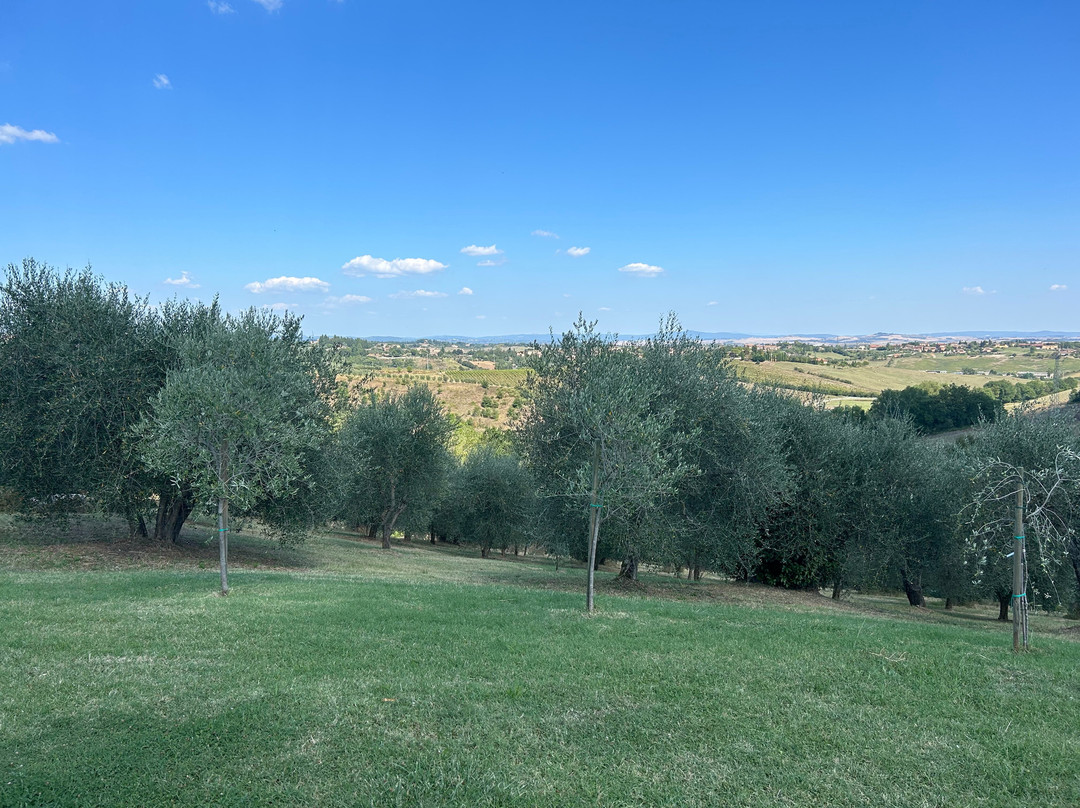 Madonnabella Winery & Wine Shop景点图片