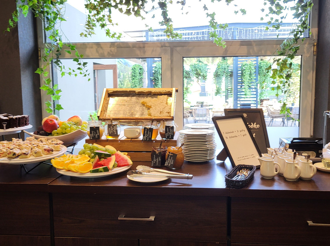 Srebrny Bucznik Wellness & Restaurant主图