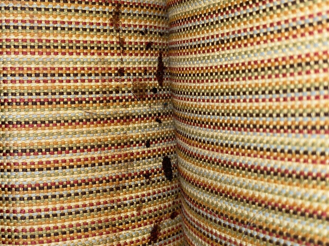 水牛城机场希尔顿花园酒店主图