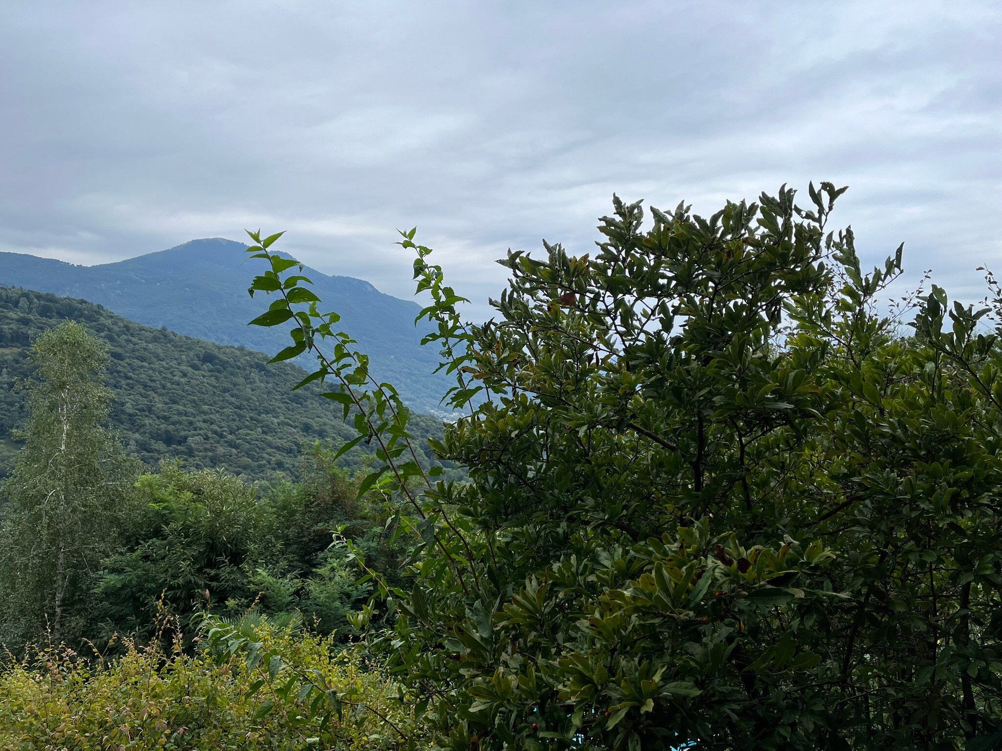 Ecohotel Locanda del Giglio-官方